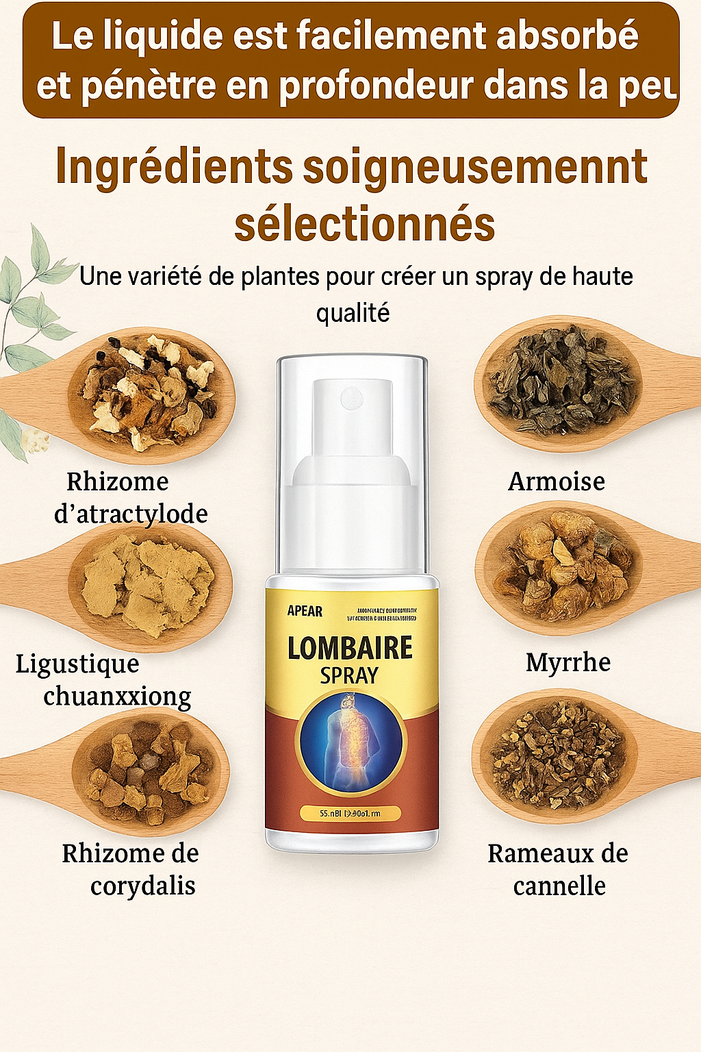 Spray à base de plantes Soulager doucement la douleur, APGAR Spray anti-douleur, Spray anti-douleur articulaire naturel à base de plantes